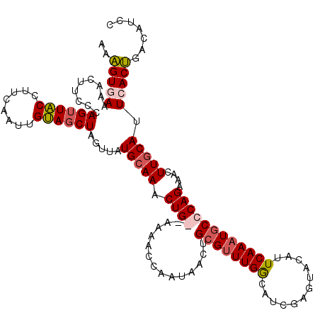 secondary structure