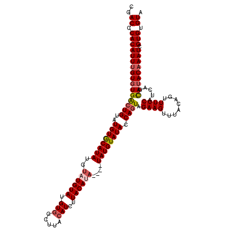 secondary structure