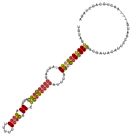 secondary structure