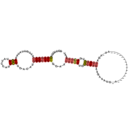 secondary structure