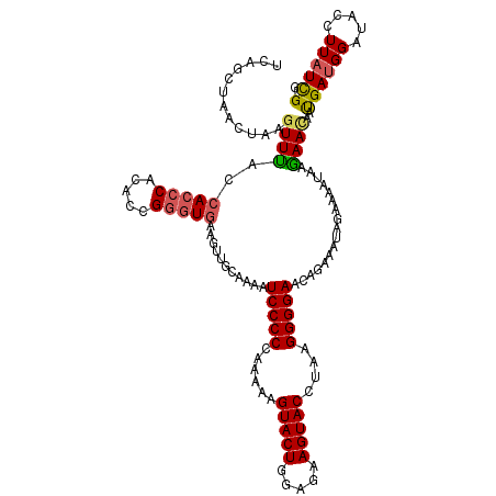 secondary structure