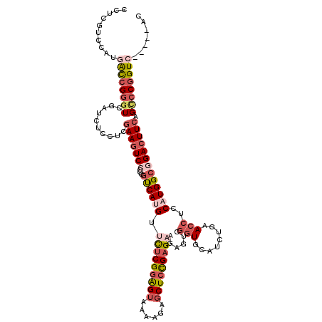 secondary structure