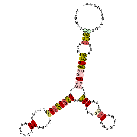 secondary structure