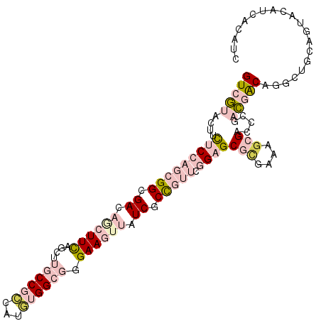 secondary structure