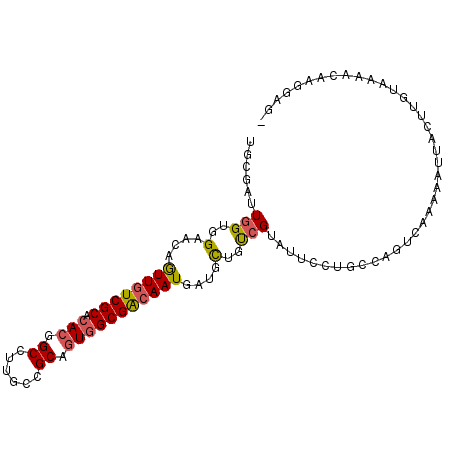 secondary structure