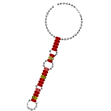 secondary structure