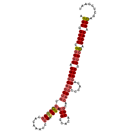 secondary structure