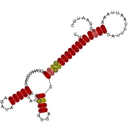 secondary structure