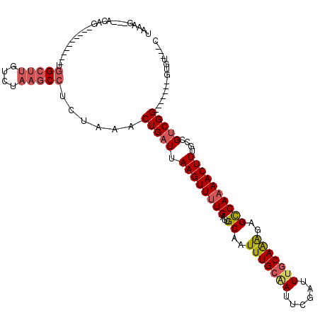 secondary structure