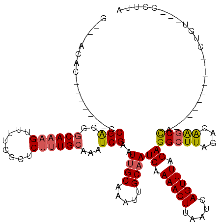 secondary structure