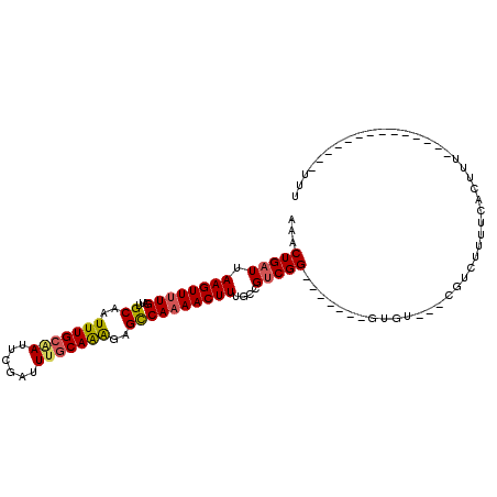 secondary structure