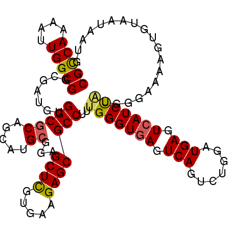 secondary structure