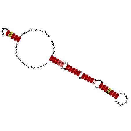 secondary structure