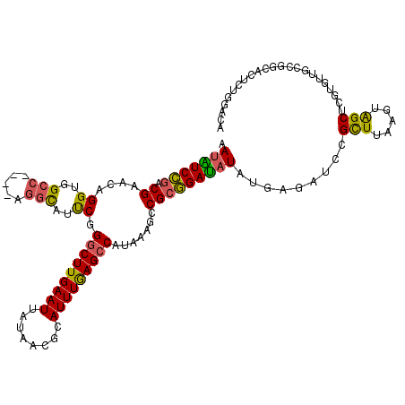 secondary structure