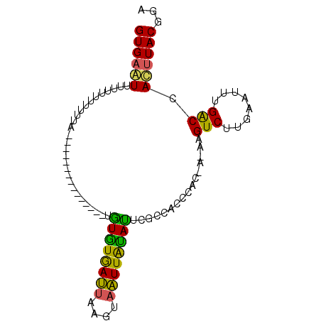 secondary structure