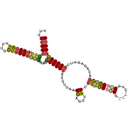 secondary structure