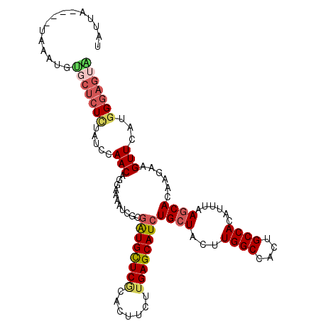 secondary structure