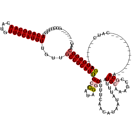 secondary structure