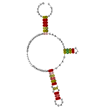 secondary structure