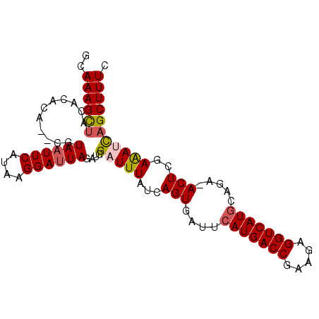 secondary structure