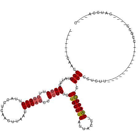 secondary structure