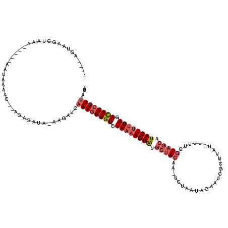 secondary structure