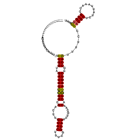 secondary structure