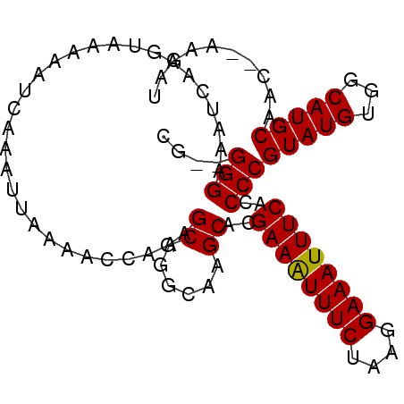 secondary structure