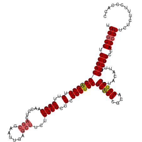 secondary structure