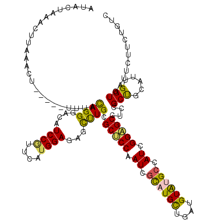 secondary structure