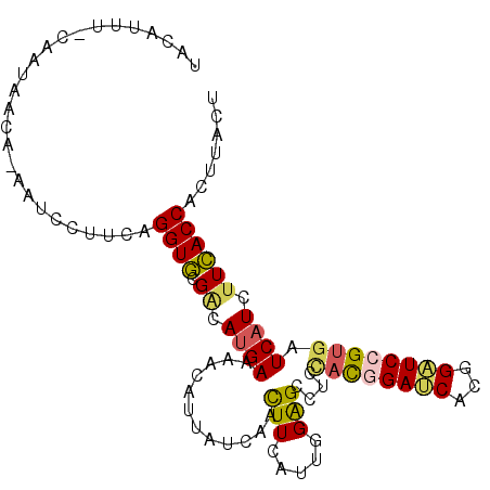 secondary structure