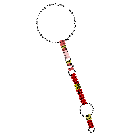secondary structure