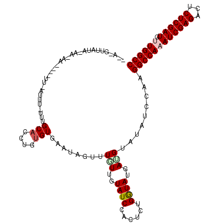 secondary structure