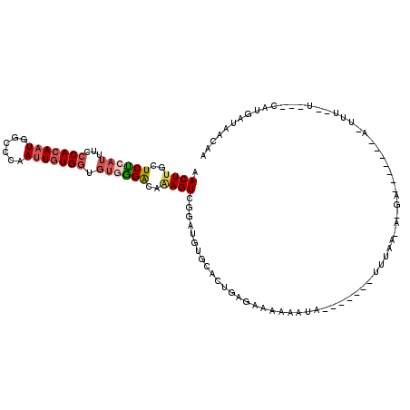 secondary structure