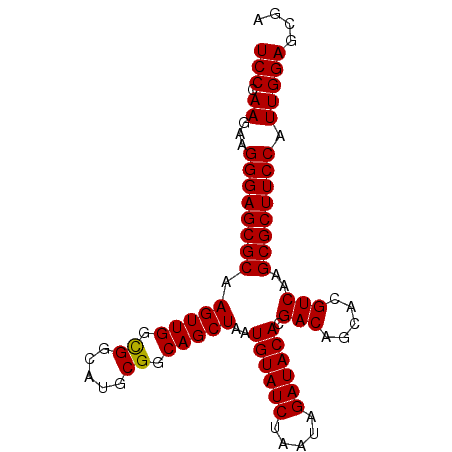 secondary structure