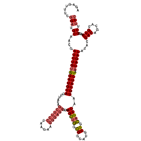 secondary structure