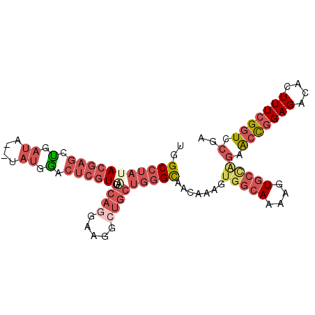 secondary structure
