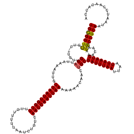 secondary structure