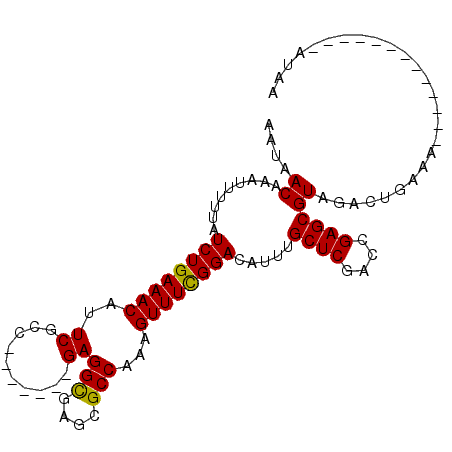 secondary structure