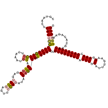 secondary structure