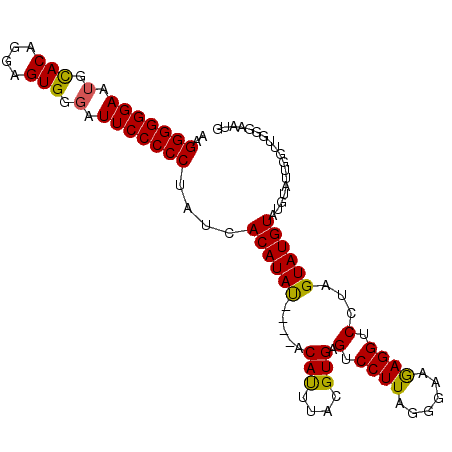 secondary structure