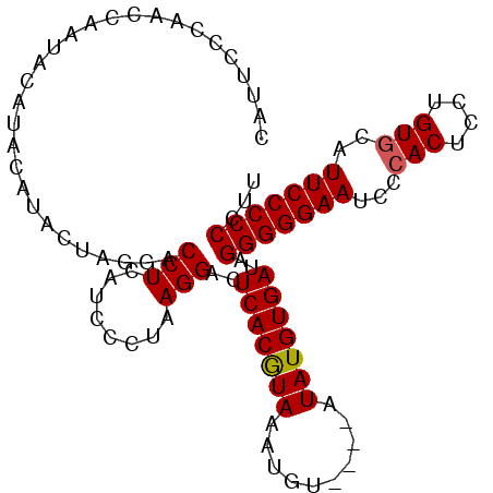 secondary structure