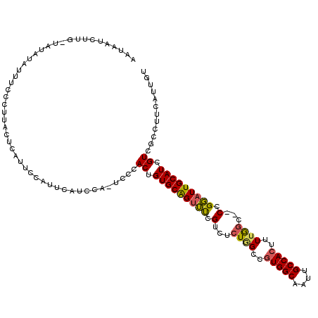 secondary structure