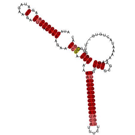 secondary structure