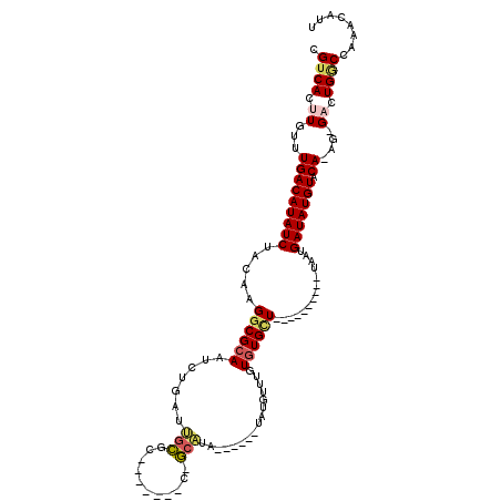 secondary structure