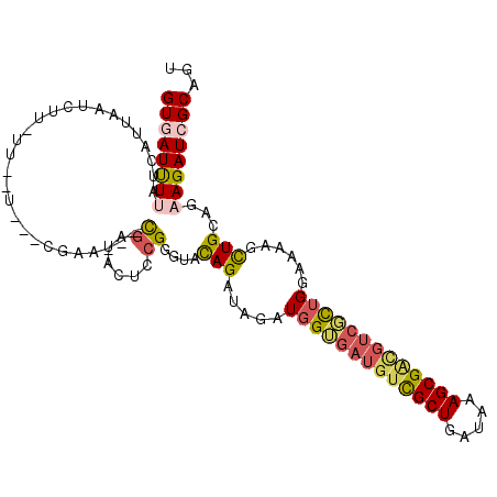 secondary structure