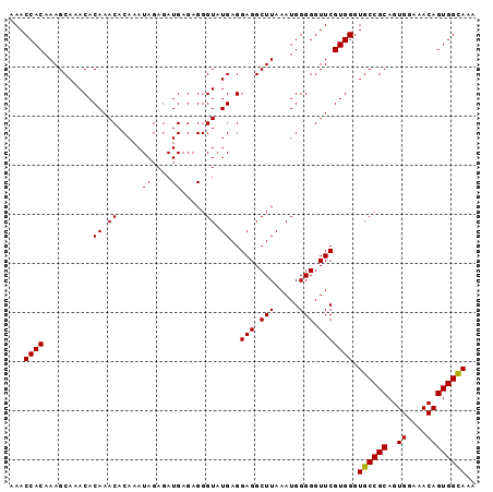 dotplot