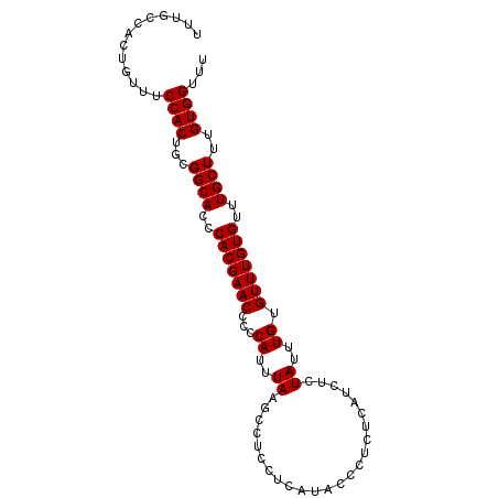 secondary structure