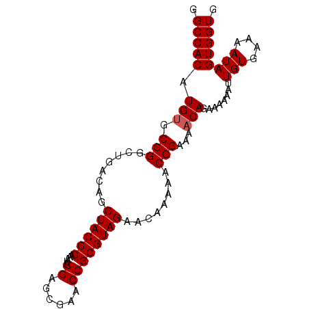 secondary structure