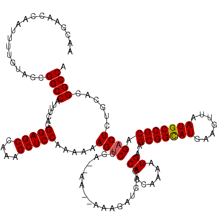 secondary structure